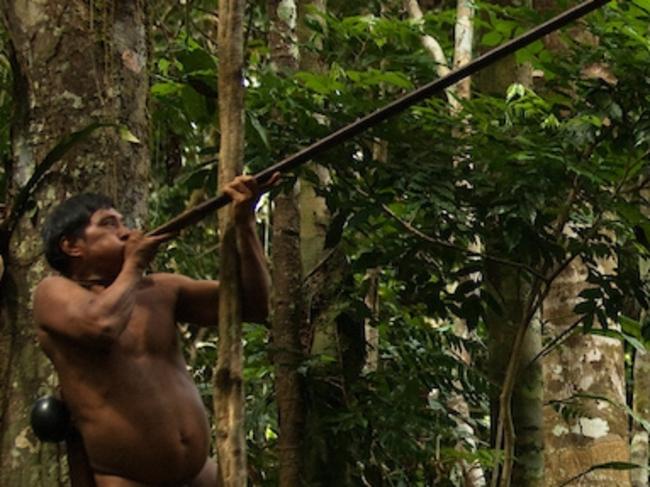 The lives of the Huaorani people in the Ecuadorean Amazon jungle. Picture: Pete Oxford /mediadrumworld.com/australscope