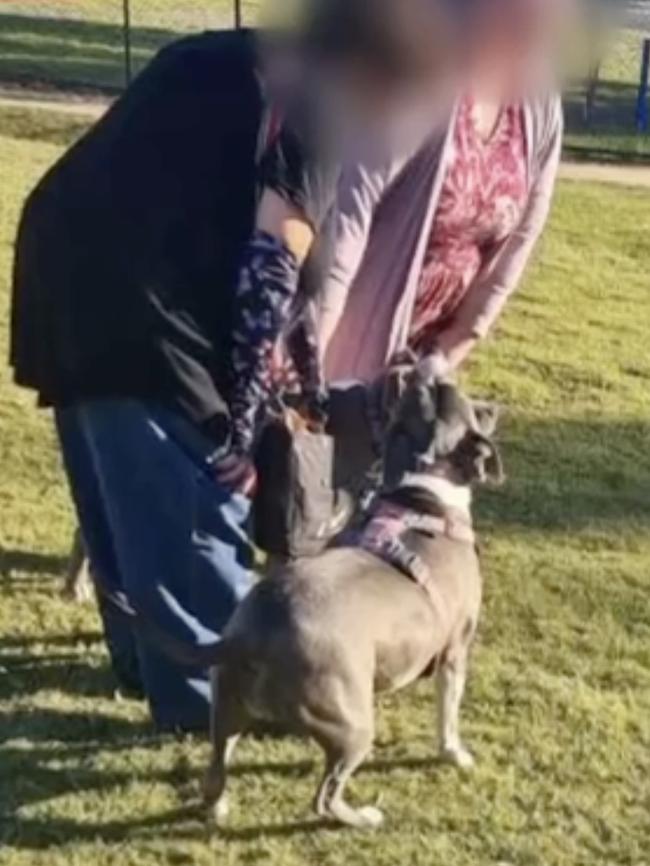 Mount Barker District Council say they have launched an investigation into the attack. Picture: 7NEWS Adelaide