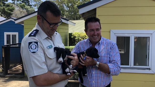 Then Lands and Forestry Minister Paul Toole, right, with puppy Sammy, and Scott Myers, Chief Inspector, RSPCA, with Mandy, at the RSPCA site in Yagoona, when the $12m funding was announced in January. Picture: Lawrence Machado