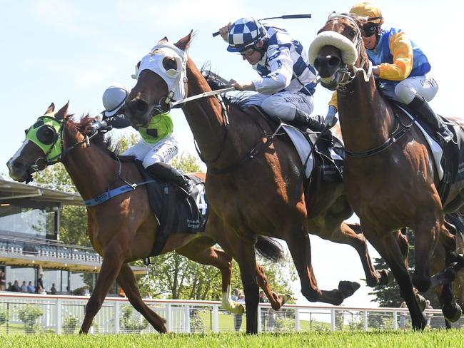 Starspangled Baby (centre) will have a shot at the biggest payday of her career in the $500,000 County Cup Final at Caulfield. Picture: Racing Photos via Getty Images.