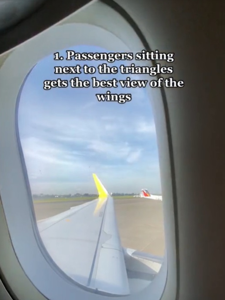 It’s also allows flight crew know the best vantage points for the slats and flaps outside. Picture: TikTok/_hennylim