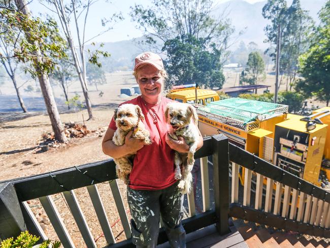 Canungra resident Melainie Stevenson with dogs Milky and Mutley. Picture: Nigel Hallett