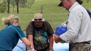 Robert Webber survived by eating mushrooms and drinking dam water. Picture: Queensland Police Service