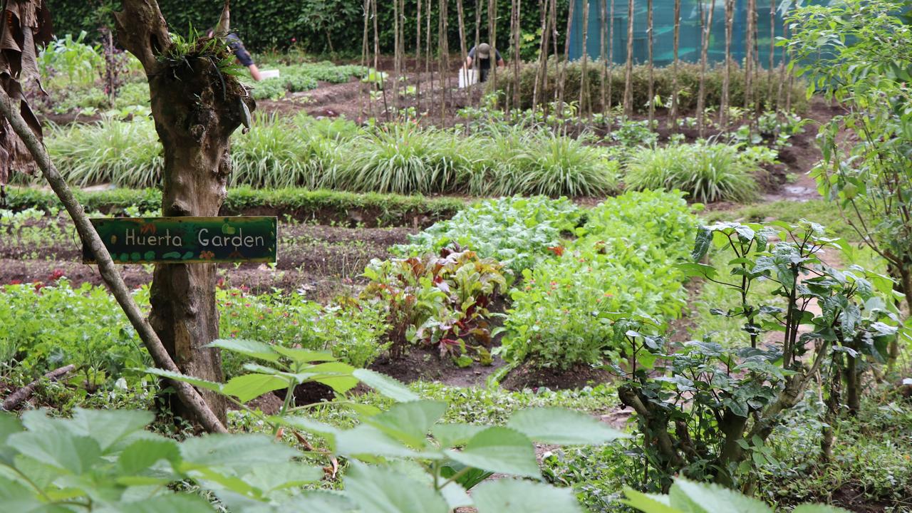 The Huerta Garden at Rancho Margot in Costa Rica. Picture: Megan Palin