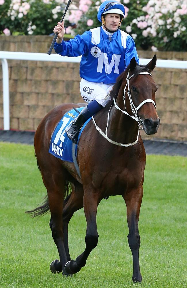 Winx was heavily supported in Cox Plate betting and she delivered in style. Picture: George Salpigtidis