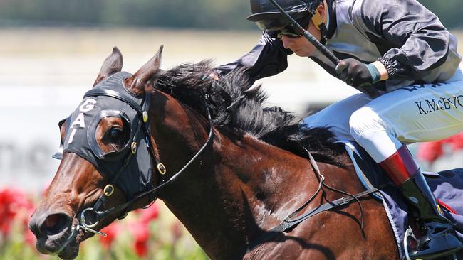 Serena Bay will be chasing back to back wins on Saturday in the Percy Sykes. Picture: Jenny Evans