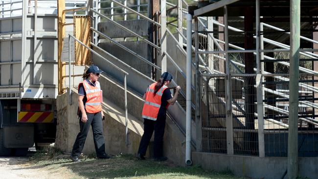 Safework SA inspectors at Strath Pastoral where Alan Carter was killed when unloading buffaloes in August 2017.