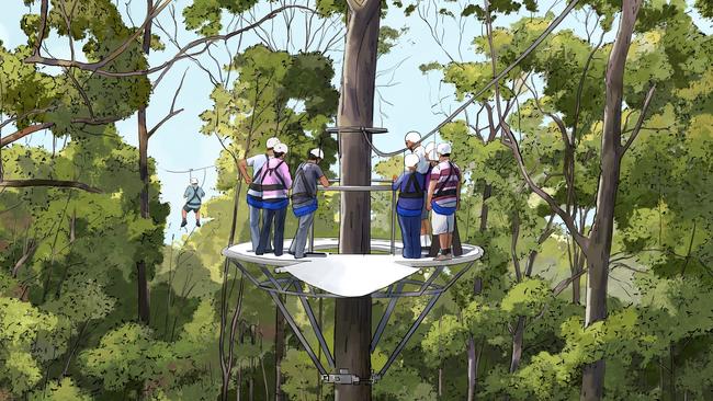 An artist’s impression of the Mt Coot-tha zipline, for which trees need to be removed, unlike Star’s ziplines, which would be in urban areas. 