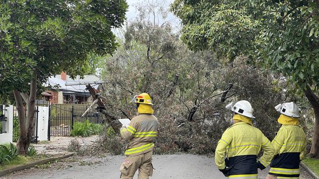 Emergency services received dozens of calls for help. Picture: Evangeline Polymeneas