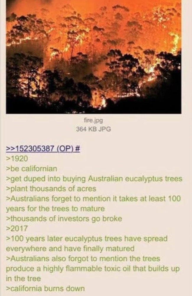 Cruel trolls have circulated an old post blaming California’s latest bushfires on eucalyptus trees. Experts have hosed down claims the highly-flammable tree is responsible for the latest disaster. Picture: Reddit