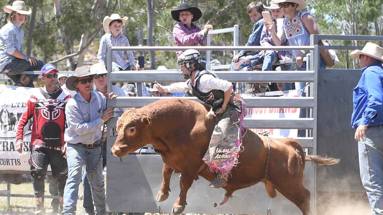 PHOTO GALLERY Mt Junior Rodeo Mini Bull Riding September 26