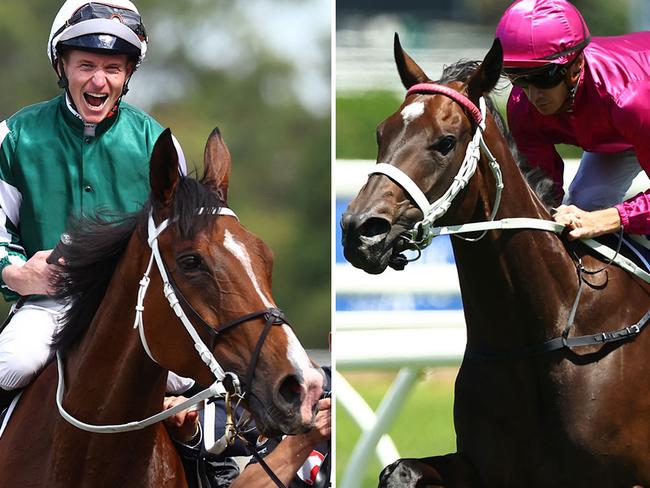 Star mares Via Sistina (left) and Fangirl will have exhibition gallops between races at Rosehill on Saturday.