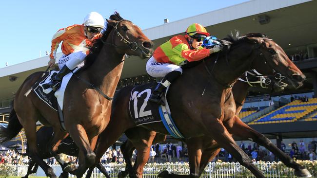 River Bird steps up to 1350m for the first time at Rosehll Gardens. Picture: Getty Images