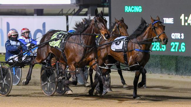 Major Delight scoring impressively at Menangle recently Picture: Club Menangle