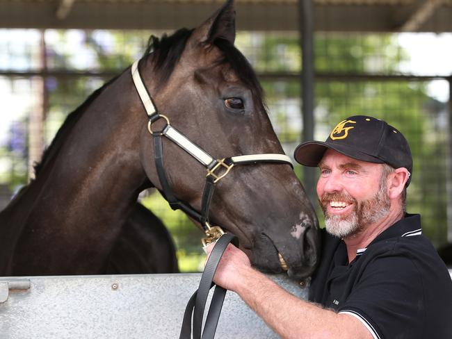 Adelaide Cup: Mail It In ready to go the distance for trainers Leon ...