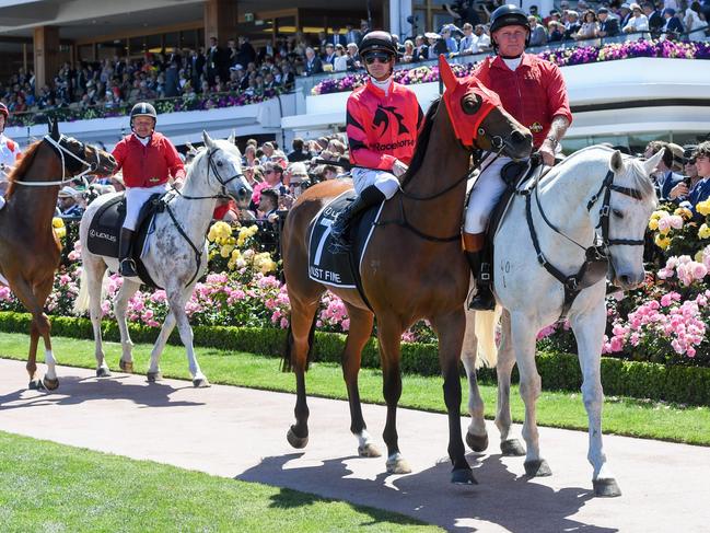 Just Fine ridden by Jye McNeil in the mounting yard prior to the running of the Lexus Melbourne Cup. Picture: Brett Holburt