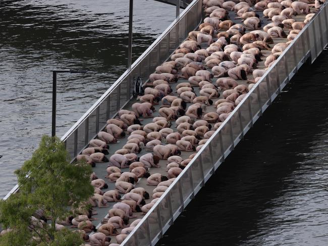 On the nearby boardwalk. Picture: NewsWire/ David Kapernick