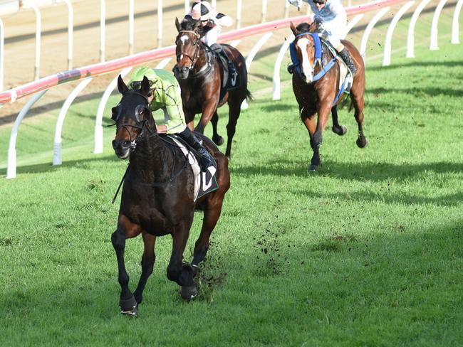 Self Sense leaves his rivals way behind. Picture: Grant Peters, Trackside Photography