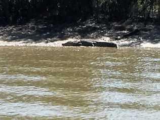 TOO CLOSE FOR COMFORT : The crocodile spotted on Saturday near Rockhampton's Gavial Creek  by local fisherman Mark Smith   (inset). Picture: Contributed