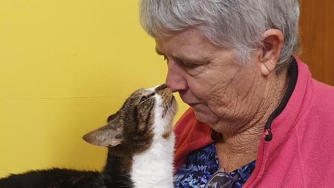 The vice president of Albury Wodonga Animal Rescue, Rae Smith, has pleaded for help amid record numbers of pets being surrendered.