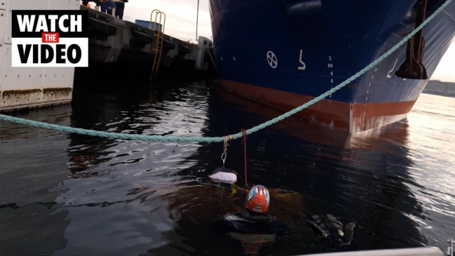Antarctic fishing protester met with cold-water plunge
