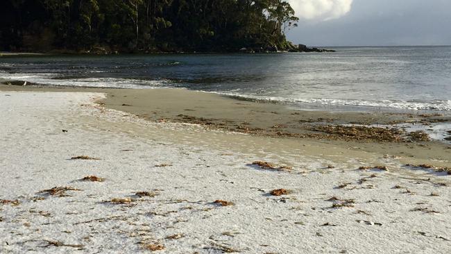 Snow flurries covered Adventure Bay Beach. Photo: Jan Hunt