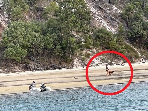 Queensland officials are keen to track down a woman and her friend seen with dogs on a popular tourist beach. Picture: Queensland Department of Environment and Science