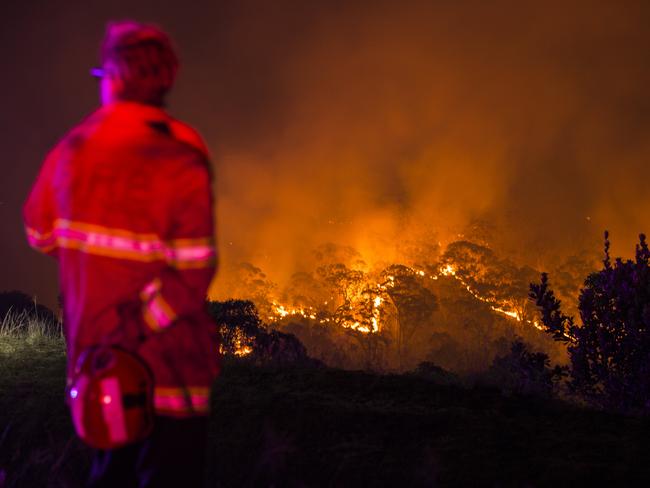 A firefighter waits on a ridge on Royal Oak Drive. Picture: Damian Shaw