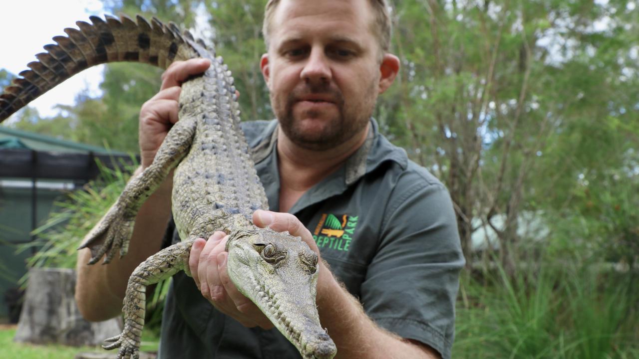 Freshwater crocodile found in suburban backyard | KidsNews