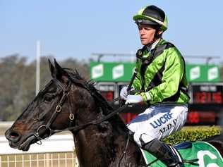 Jockey Mark Du Plessis reflects on guiding Collision to victory in the Sirromet Maiden Handicap at the Ipswich Racetrack. Picture: Rob Williams