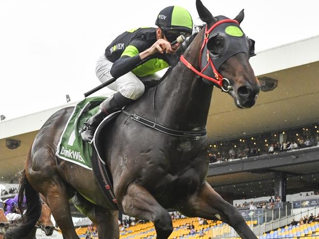 Private Eye wins the Festival Stakes at Rosehill Gardens on November 30, 2024. Picture: Bradley Photos