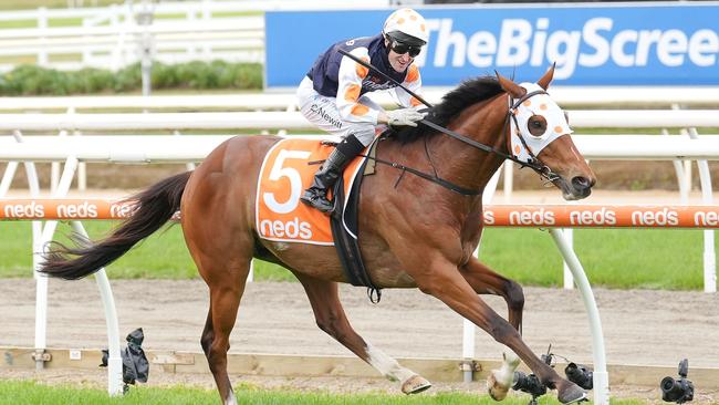 Keats won last year’s Peninsula Cup, ridden by Craig Newitt. Picture: Scott Barbour/Racing Photos via Getty Images