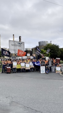 Sarina mill workers go on strike