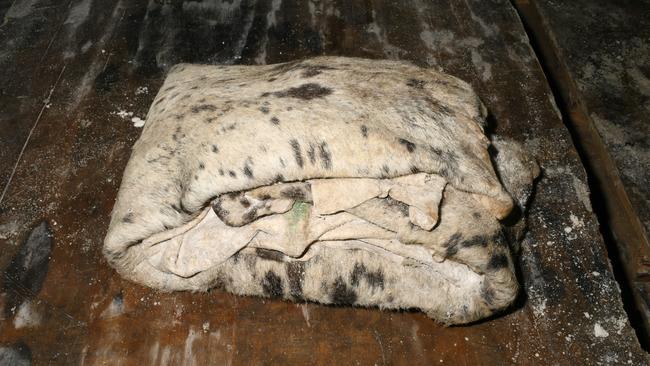 One of the cow hides in the haul seized by the Australian Federal Police and Australian Border Force which contained 755g of methamphetamine. Picture: AAP