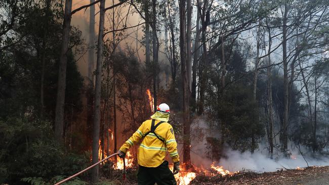 Firefighters are continuing to battle a bushfire in the Huon Valley. Picture: NIKKI DAVIS-JONES