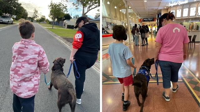 Assistance dog helps whole family of boy with autism