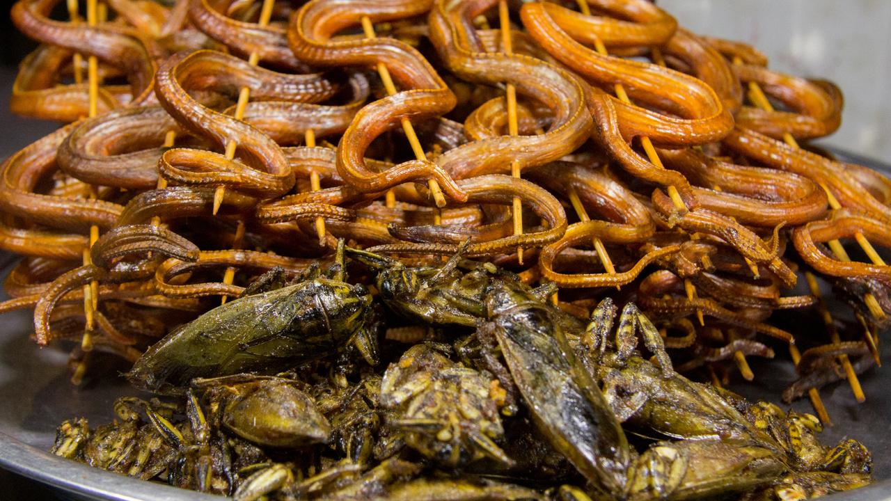 Fried snake and fried cicada