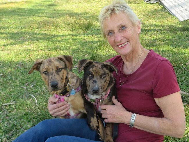 Monika’s Doggie rescue founder Monika Biernacki, with some previous doggie clients, is keen for the huskies to find new homes with experienced owners. Picture: Supplied.