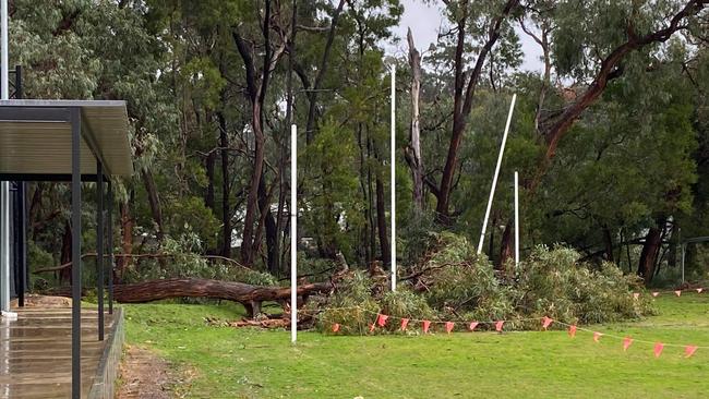 Trees have fallen on goalposts at Montrose Football Club. Picture: Aaron Puddy