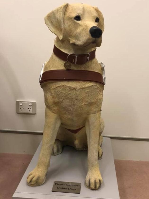 Barry the Guide Dog is available for donations in the Canberra office of Queensland Liberal Senator James McGrath.