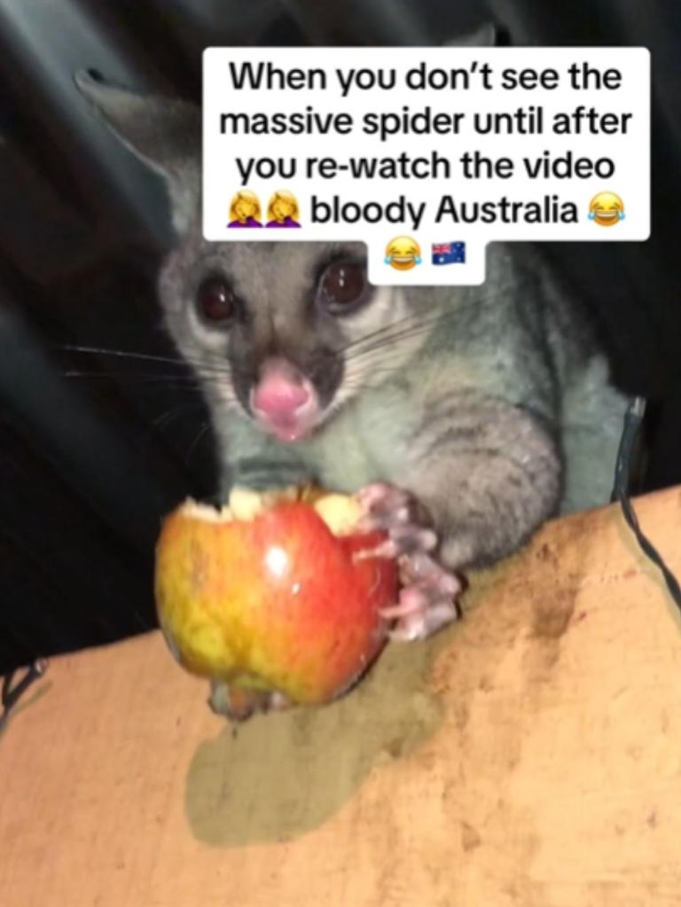 Bianca Jayne was feeding a possum an apple. Picture: TikTok (biancajayne97)