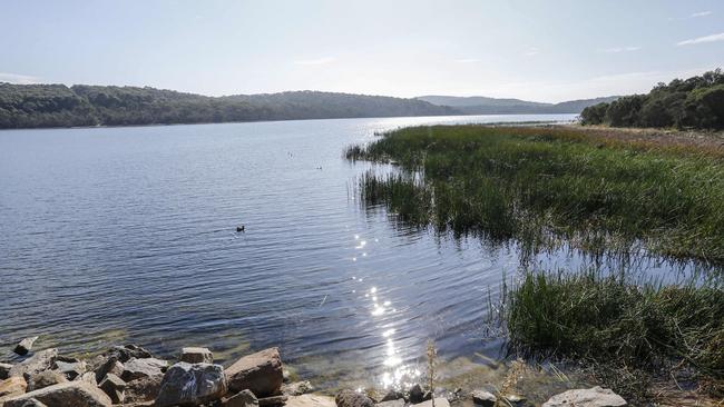 Lysterfield Lake, Narre Warren. Image: Wayne Taylor, 2019