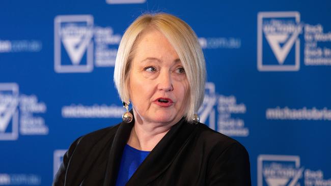 Shadow Treasurer, Louise Staley. Picture: NCA NewsWire/Sarah Matray