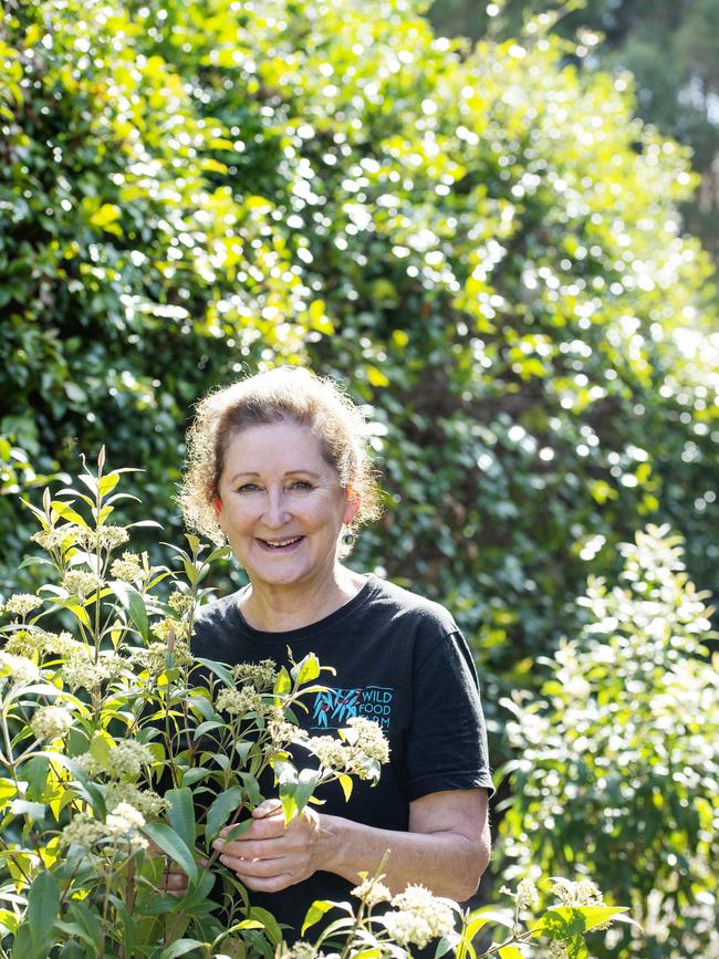 Jude Mayall with lemon myrtle. Picture: Zoe Phillips