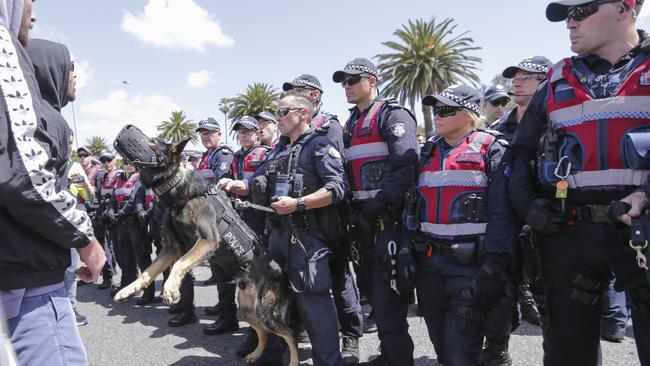 A police dog lunges at protesters. Picture: Wayne Taylor