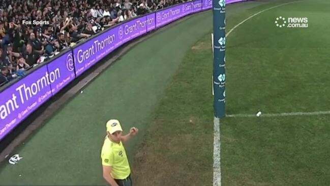 AFL umpire struck in shocking crowd at in Melbourne