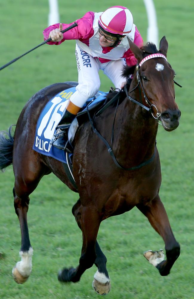 Delicacy delivers again for jockey Peter Hall. Picture: Tait Schmaal