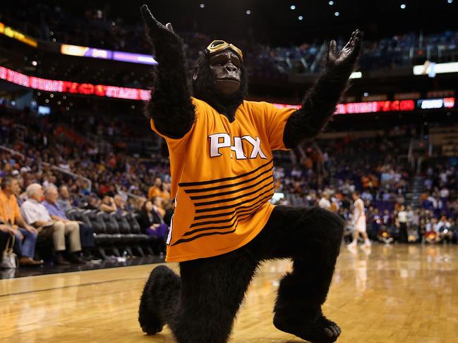 PHOENIX, AZ - OCTOBER 30: The Phoenix Suns mascot, Gorilla performs during the opening night NBA game against the Portland Trail Blazers at US Airways Center on October 30, 2013 in Phoenix, Arizona. The Suns defeated the Trail Blazers 104-91. NOTE TO USER: User expressly acknowledges and agrees that, by downloading and or using this photograph, User is consenting to the terms and conditions of the Getty Images License Agreement. (Photo by Christian Petersen/Getty Images)