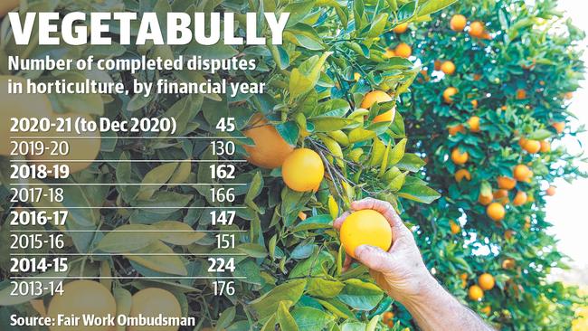 Complaints about pay and conditions in the horticulture make up just a fraction of the Fair Work Ombudsman’s work. Picture: Andy Rogers