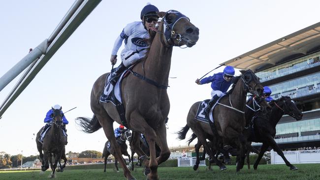 Jockey Tim Clark produced a well-judged frontrunning ride on Samadoubt in the Winx Stakes. Picture: AAP